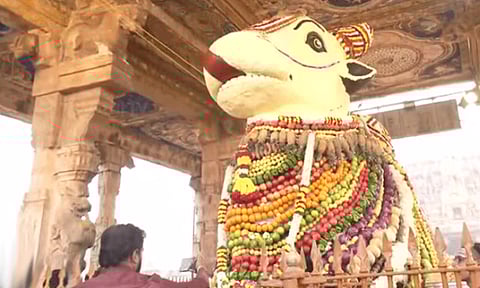 மாட்டுப்பொங்கல் - தஞ்சை பெரிய கோயிலில் கோ பூஜை