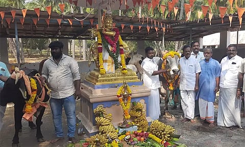 கன்னியாகுமரி விவேகானந்த கேந்திராவில் மாட்டுப்பொங்கல் கொண்டாட்டம்: தளவாய் சுந்தரம் எம்.எல்.ஏ. பங்கேற்பு