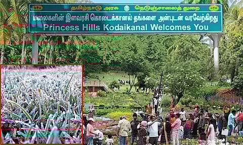 கொடைக்கானலில் மீண்டும் உறைபனி - நடுங்க வைத்த குளிரால் சுற்றுலா பயணிகள் அவதி