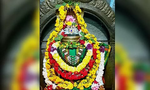 சிறப்பு அலங்காரத்தில் நன்செய் புகழூர் மேகபாலீஸ்வரர்