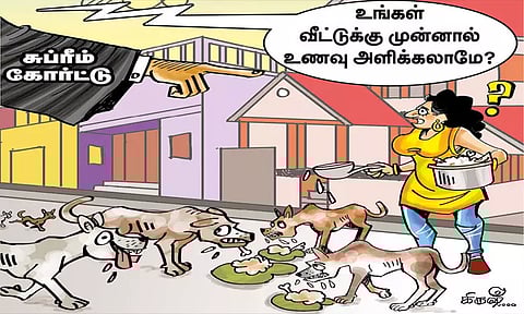 தெருநாய் தொல்லைக்கு இது முற்றுப்புள்ளி அமைக்குமா?