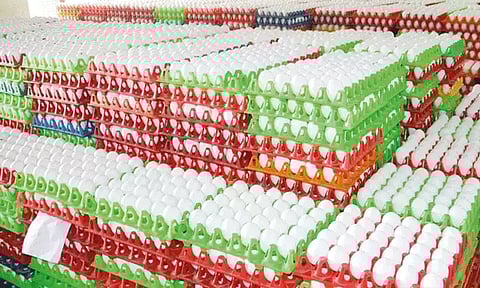 நாமக்கல் மண்டலத்தில் முட்டை விலை மேலும் 30 காசுகள் சரிவு