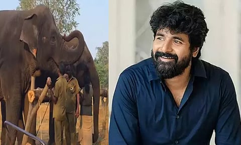 வண்டலூர் பூங்கா யானையை தத்தெடுத்த நடிகர் சிவகார்த்திகேயன்