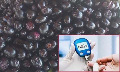 சர்க்கரை நோயாளிகளுக்கு வரப்பிரசாதம் நாவல் பழம்