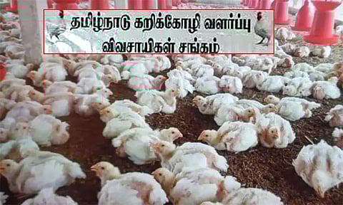 கறிக்கோழி வளர்ப்பு தொழில்: முத்தரப்பு பேச்சு வார்த்தை நடத்த அரசுக்கு கோரிக்கை