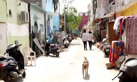 சென்னையில் வளர்ப்பு நாய் கடித்து சிறுவன் படுகாயம்