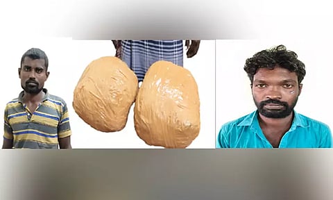 நெல்லையில் ஒரே நாளில் 5.2 கிலோ கஞ்சா பறிமுதல்: 3 பேர் கைது