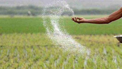 Representational image for fertiliser used in a cropfield