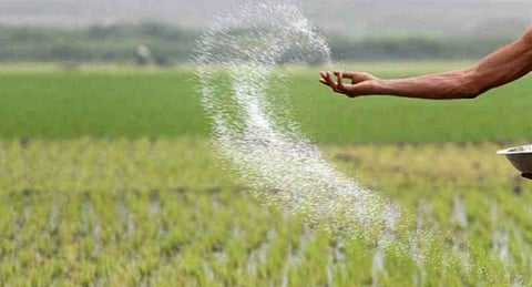 Representational image for fertiliser used in a cropfield