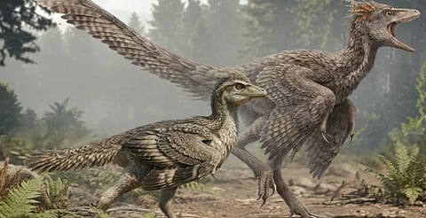 Representational image of Jurassic birds