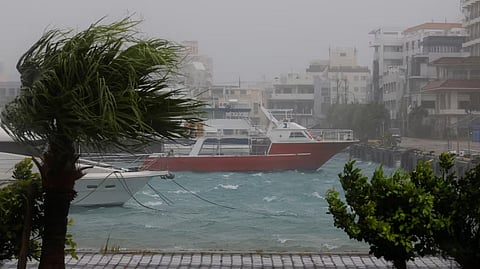 Strong wind rattles trees at a port as Typhoon Bavi passes through, in Ishigaki, Japan, July 11, 2026.