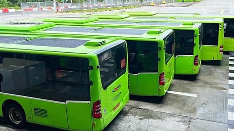 Representational image of electric buses