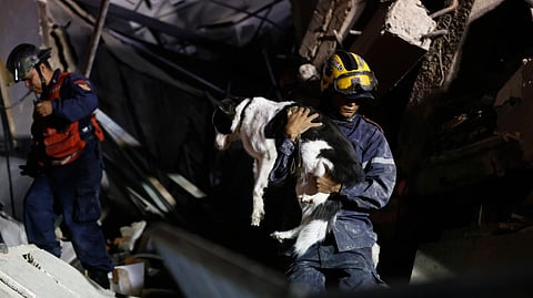 A rescuer carries a dog on his shoulders after rescuing it from an area devastated by last month's earthquakes in La Guaira, Venezuela.