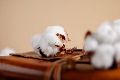 Cotton bales