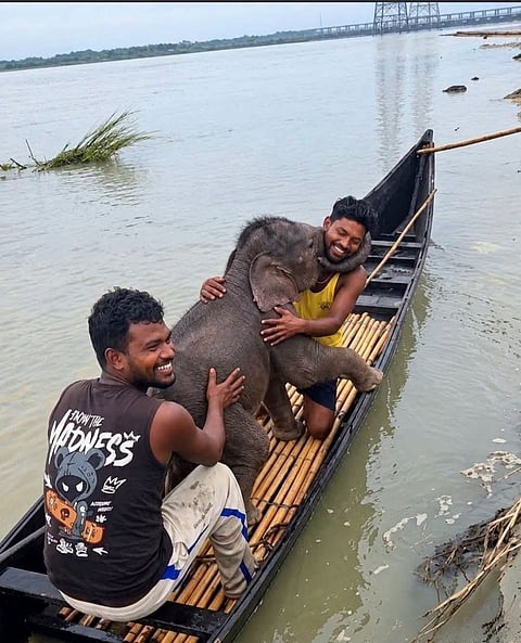 Two fishermen hold the rescued elephant calf after pulling it from the strong currents of the Teesta River in West Bengal.