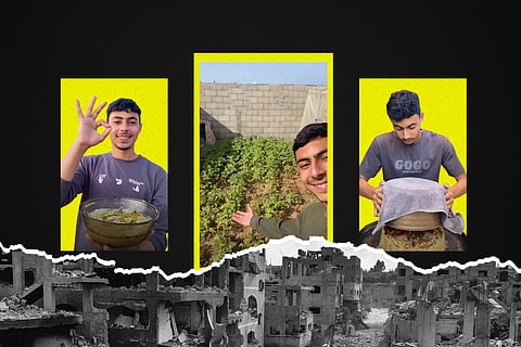 From a destroyed home to a tent-side farm, Gaza’s Yazan Shamlhk, 19, documents his family’s struggle to preserve food, livelihood and a sense of normal life.