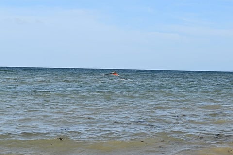 A portion of the vessel floats after it capsized while carrying about 305 people from Djibouti to Yemen, leaving at least 109 migrants dead and more than 116 missing, according to the United Nations' International Organization for Migration (IOM) on October 10.