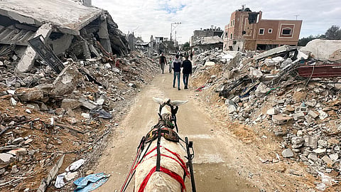 A donkey drawing a cart moves past the ruins of houses destroyed in Israeli strikes during the conflict, amid a temporary truce between Israel and the Palestinian group Hamas, in Khan Younis in the southern Gaza Strip November 28, 2023