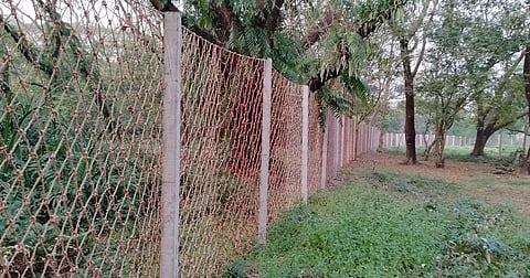 A nylon fence installed in the Sundarbans to reduce encounters between people and Bengal tigers, as the Forest Department expands efforts to protect forest-dependent communities and wildlife.