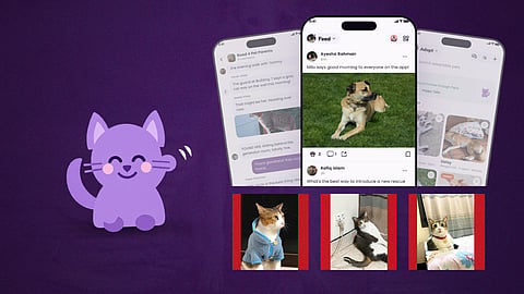 Parul: The all-in-one app for pet lovers