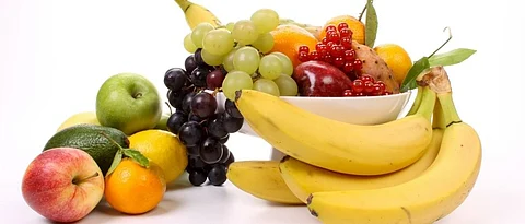 fruits
