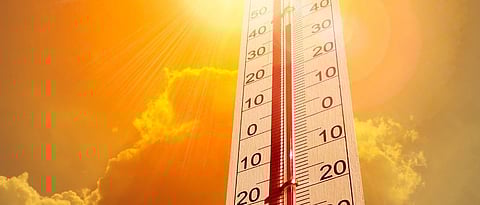 या वर्षी हे तापमान 49. 5 अंश पर्यंत गेले आहे
