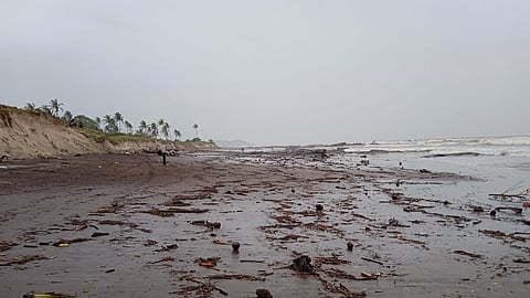 मोरजी मांद्रे आणि हरमल समुद्रकिनारा