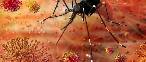 केरळमध्ये आतापर्यंत 13 जणांना झिका विषाणूची लागण झाली आहे.