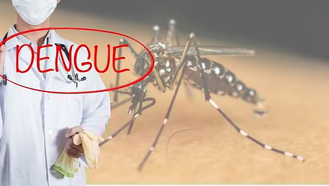 Eight cases of dengue were reported in Fonda, Goa