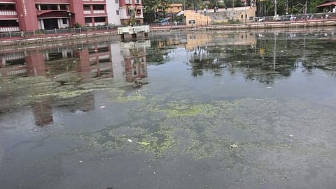 Murgaon Municipal Area