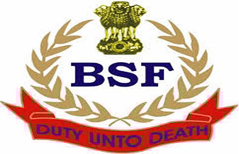 सीमा सुरक्षा दला मध्ये (BSF Recruitment 2021) विविध पदांसाठी भरती