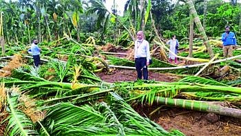Mejor Agriculture loss in Goa