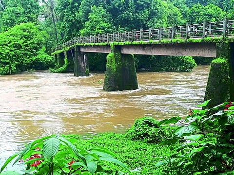 Goa: Bridge Getting Danger in Morle.