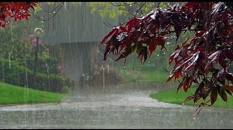 Monsoon