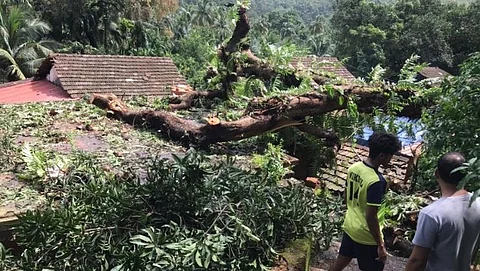 three houses were damaged by falling trees in Goa