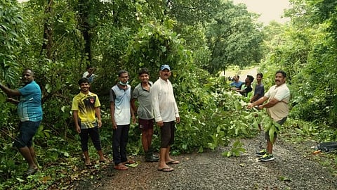 Youths of Saleli clearing trees and bushes along the road from Saleli to Honda, Goa. On 29 July, 2021.