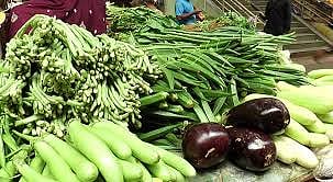 Goa : Vejitable in Horticulture.