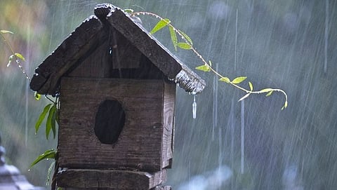 राज्यात अनेक भागांत सुरु असलेल्या पावसामध्ये पुढील दोन दिवसांत पुन्हा खंड पडणार असल्याचे दिसत आहे.