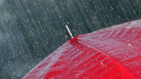 राज्यात पावसासाठी (rain) पुन्हा एकदा हवामान (Climate) पोषक होत असून, पुढील काही दिवसांत पावसाला सुरुवात होऊ शकते.