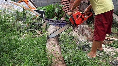 परदेशातून आलेला खलाशी गोव्यात बनला ‘पाडेली'