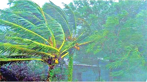 Goa Weather Update: 12 सप्टेंबरपर्यंत राज्यात मुसळधार पाऊस, ऑरेंज अलर्ट जारी