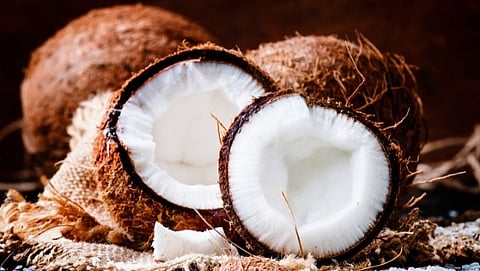 story on coconut