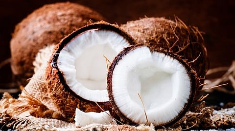 story on coconut