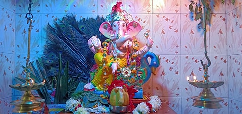 Ganpati-shaped papaya