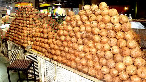 Goa Coconut Price Hike: नारळ स्वस्त होईना! दर भिडले गगनाला; वाढत्या महागाईमुळे गोमंतकीय हैराण