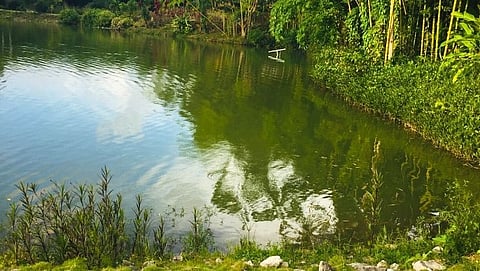 Artificial lake