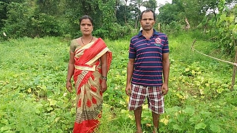 महागाईच्या काळात आर्थिक टंचाई (Economic scarcity) निर्माण होऊ लागली. पण या परिस्थितीतही न डगमगता त्यांनी कास धरली शेतीतून स्वयंरोजगाराची...