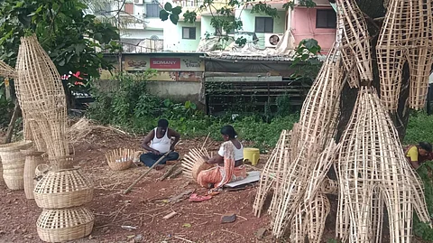 Demand for bamboo narkasur in Goa