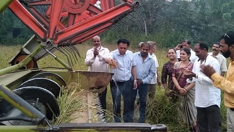 मयेत भात कापणी, मळणीची कामे पूर्णत्वाकडे