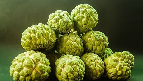 Custard apple cures serious ailments
